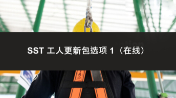 SST 工人更新套餐选项 1 - Able Safety Consulting
